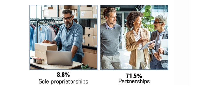 Business Owners Should You Organize As An LLC CHART